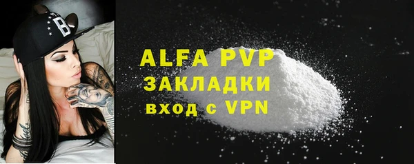 индика Белоозёрский