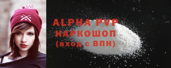 прущие грибы Беломорск