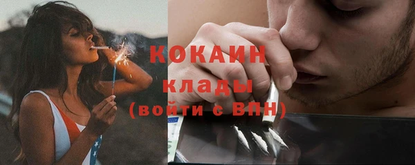 прущие грибы Беломорск