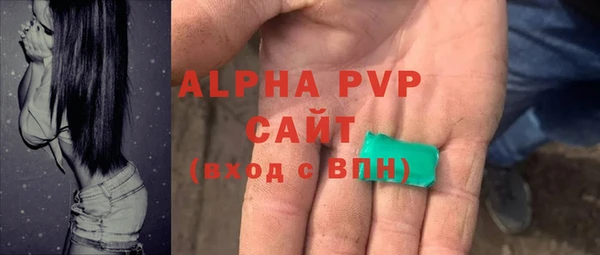 прущие грибы Беломорск