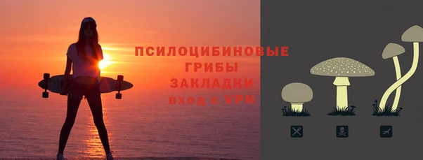 индика Белоозёрский