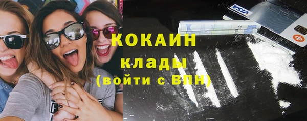 прущие грибы Беломорск