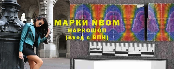 прущие грибы Беломорск