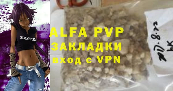 прущие грибы Беломорск
