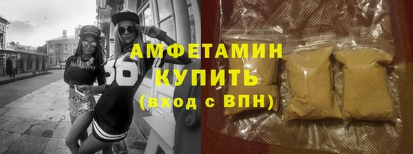 прущие грибы Беломорск