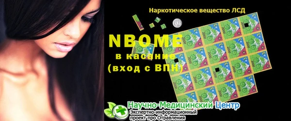прущие грибы Беломорск