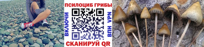 купить сайты Демидов MEGA зеркало Псилоцибиновые грибы мухоморы